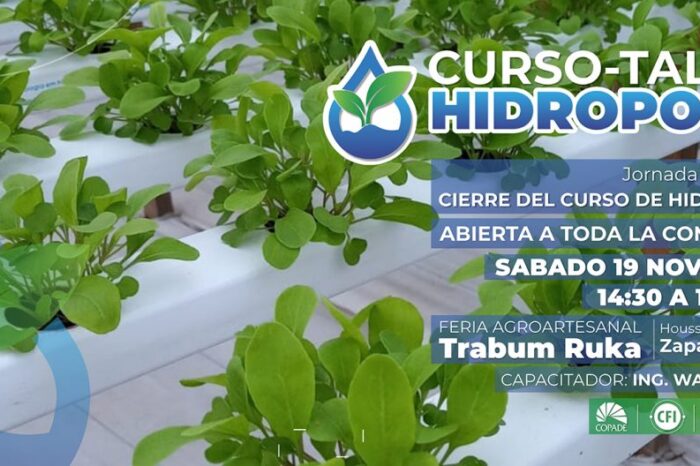Finaliza el curso gratuito de Hidroponia con una clase abierta en Zapala