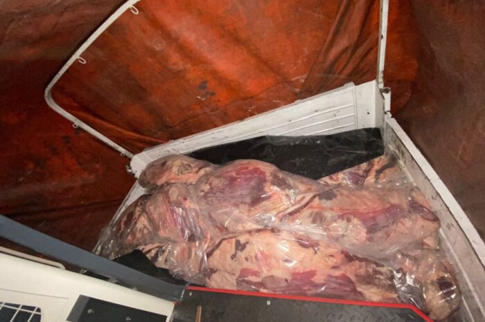 En resguardo de la salud pública el Senasa evitó el comercio de 2.000 kilos de carne sin refrigeración