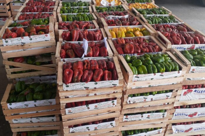 <strong>Decomiso y donación de mercadería al Banco de Alimentos de Bahía Blanca</strong>