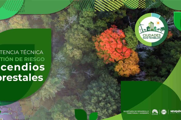 Elaboran estudios para la reducción de riesgo de incendios forestales