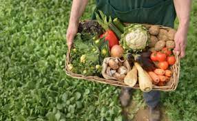 Taller de Agroturismo Sustentable en Junín de los Andes para pequeños productores