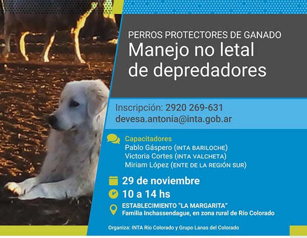 Perros protectores de ganado: manejo no letal de depredadores