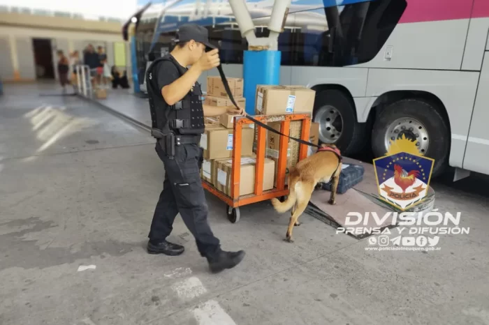 Operativos Policiales: Pirotecnia Cero en la provincia del Neuquén