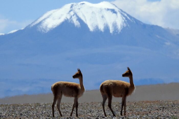 Las montañas, que albergan el 80% de agua dulce mundial, están en riesgo