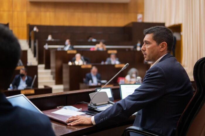 Koopmann destacó la producción legislativa del 2022, con 383 sanciones