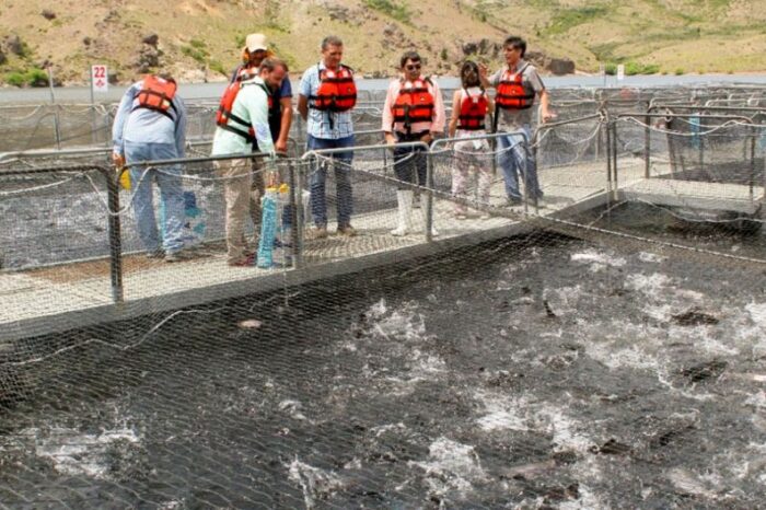 Analizan establecimientos acuícolas provinciales para diseñar estrategias de cooperación