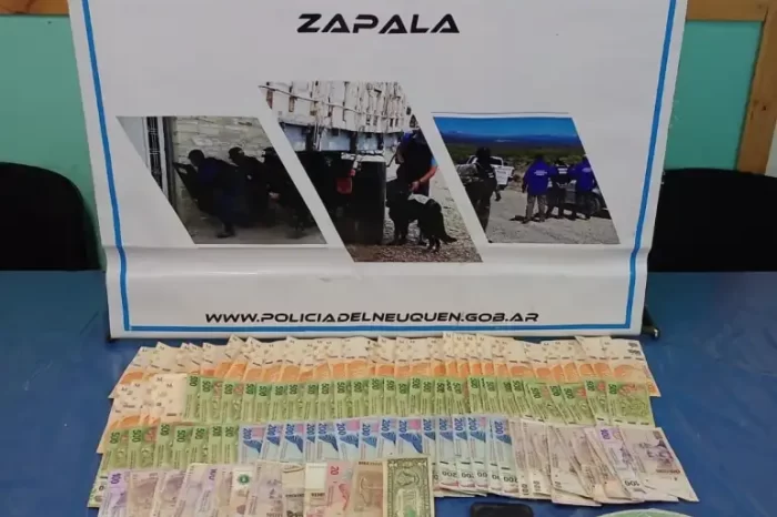 ZAPALA: Secuestran droga y gran cantidad de dinero en allanamiento