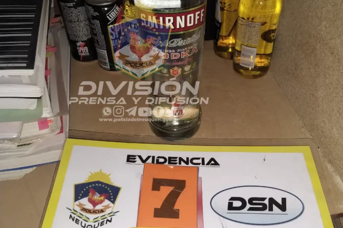 Robó bebidas alcohólicas, cigarrillos y dinero en efectivo empuñando un arma, tras una excautiva investigación logran demorarlo 