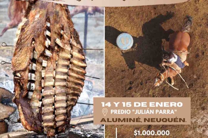 1º Fiesta Provincial del Asado con Cuero