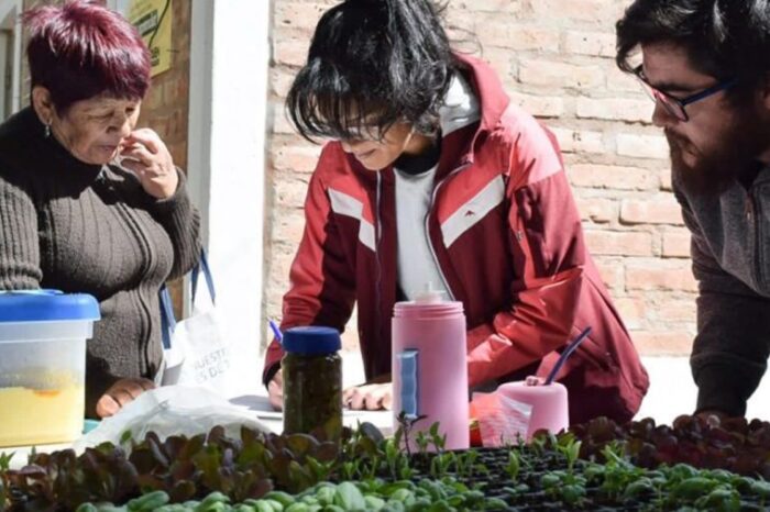 Mi Huerta Mi Alimento distribuyó 41.400&nbsp; plantines en toda la provincia