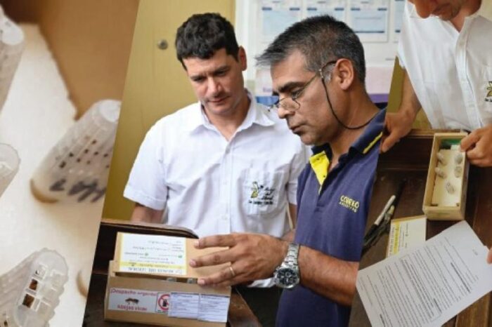 Convenio con el Correo Argentino para traslado de abejas reina desde cabañas habilitadas