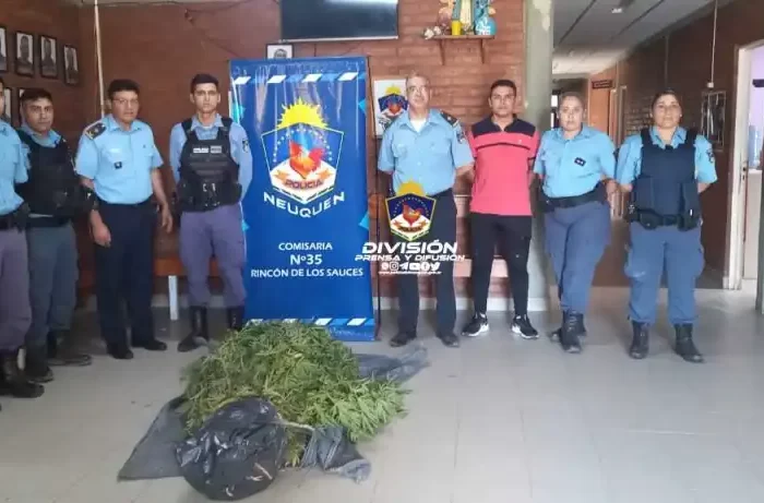 Allanamiento permitió el decomiso de más de 10 plantas de cannabis sativa