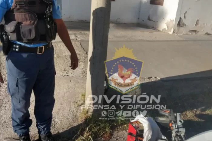 Dos demorados tras cometer un robo
