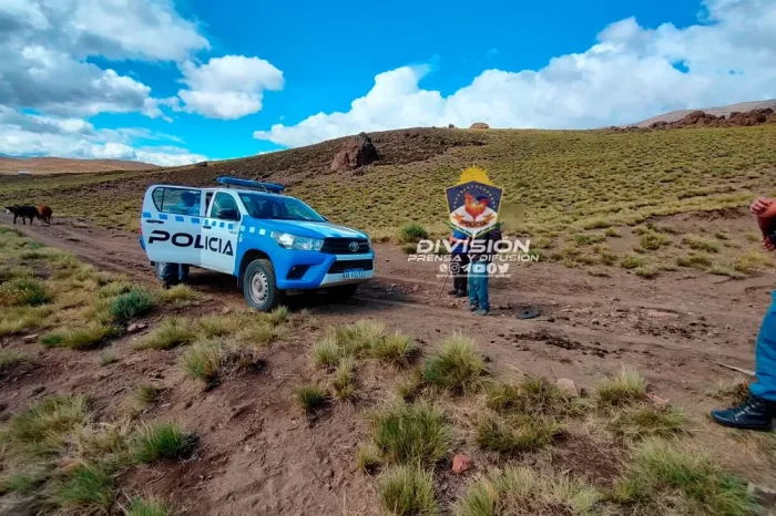 Aluminé: Allanamiento por Abigeato Agravado