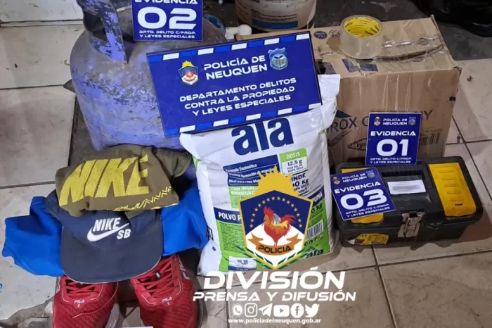Allanamiento permitió recuperar elementos sustraídos