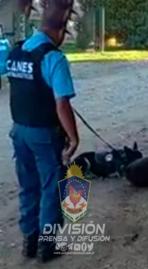 Ingreso de Chile al país de manera irregular con droga en poder, fue demorado