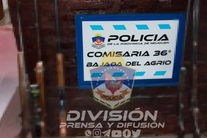 Bajada del Agrio: Secuestran arsenal en un Paraje