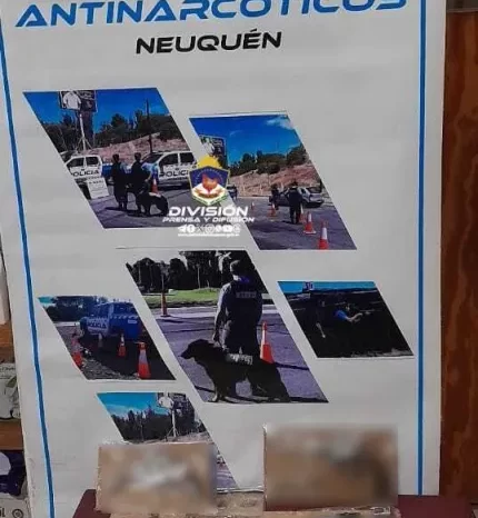 Personal Policial realizó un allanamiento que permitió secuestrar estupefacientes, dinero y armas de fuego en Centenario
