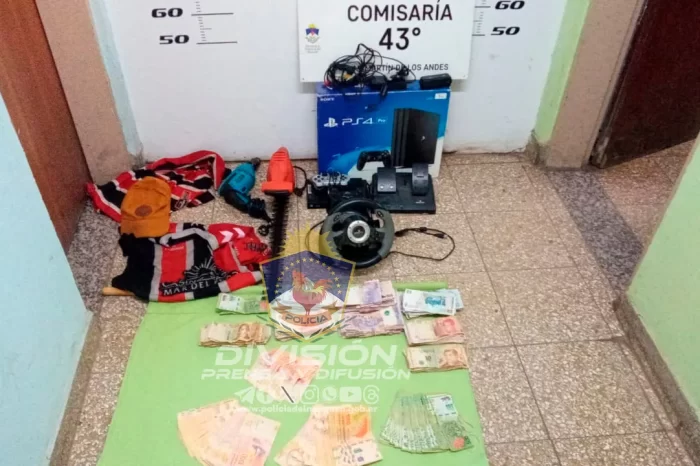 San Martín de los Andes: Allanamientos permiten recuperar bienes robados