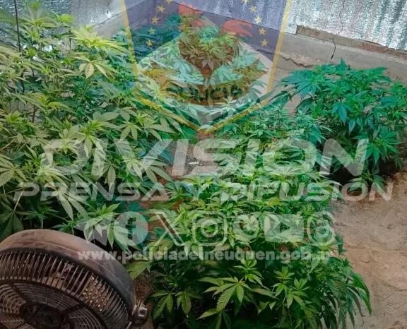 Chos Malal: Exitosos allanamientos por narcomenudeo