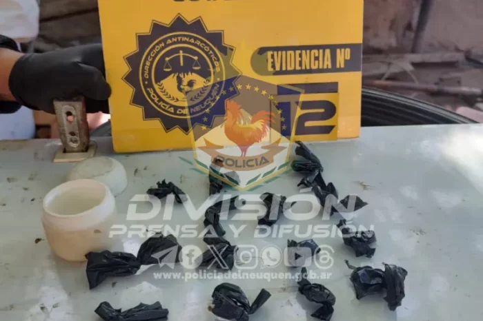 Cutral Có: Exitoso allanamiento por narcomenudeo