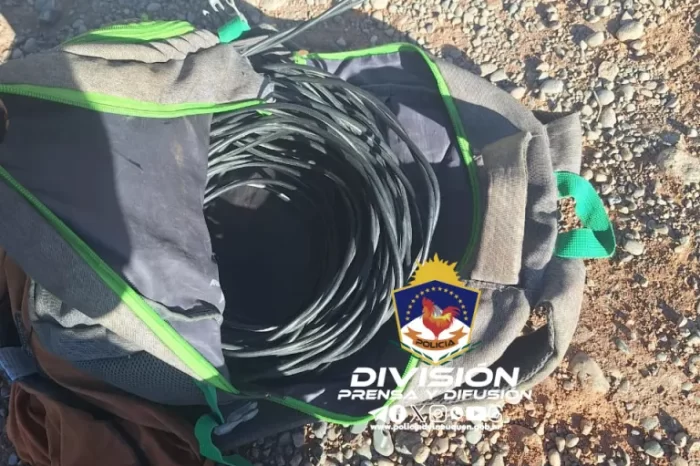 Centenario: Sustraían cables y fueron demorados