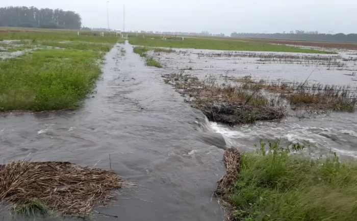 Reconquista: La mayor lluvia de la historia con cifras y detalles