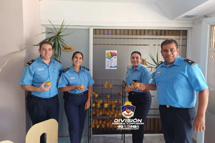 Programa “Refrigerio Saludable”