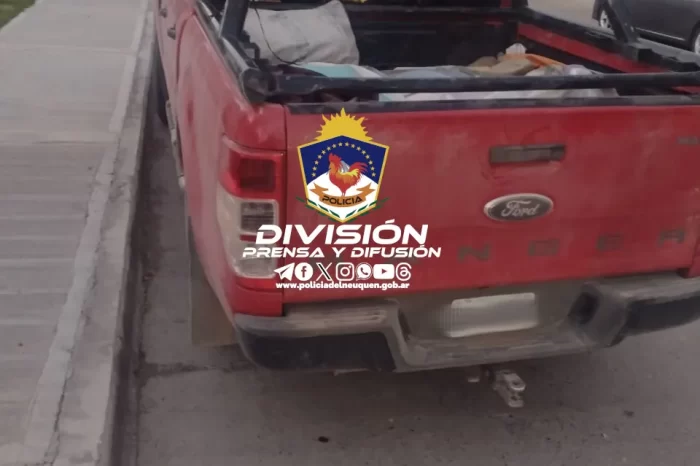 Zapala: Requisa vehicular da como resultado un  presunto abigeato 