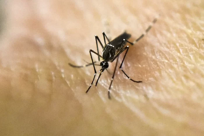 Corrientes: un adolescente de 14 años murió por dengue