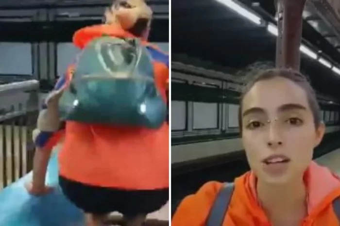 Denunciaron por instigación al delito a la joven que convocó al "molinetazo" en subtes y trenes