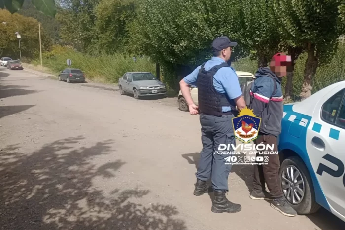San Martín de los Andes: Demoran un sujeto con vidrios DVH que robó minutos antes de una obra en construcción