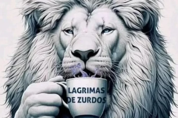 Milei utilizó las redes sociales para referirse a la marcha con un mensaje controvertido