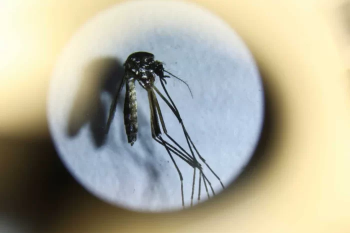 San Juan registró su primera muerte por dengue: una mujer de 39 años