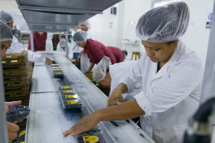 La recesión golpea con más fuerza a las pymes: siete de cada diez informan caída del consumo