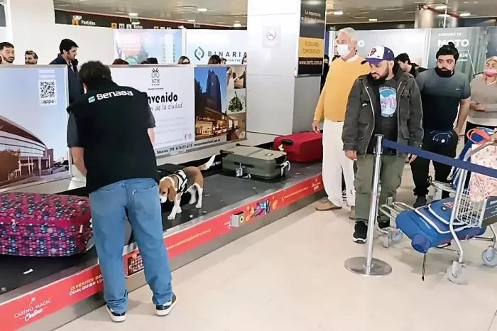 Se suman nuevos integrantes a la Brigada canina para reforzar controles en la Patagonia