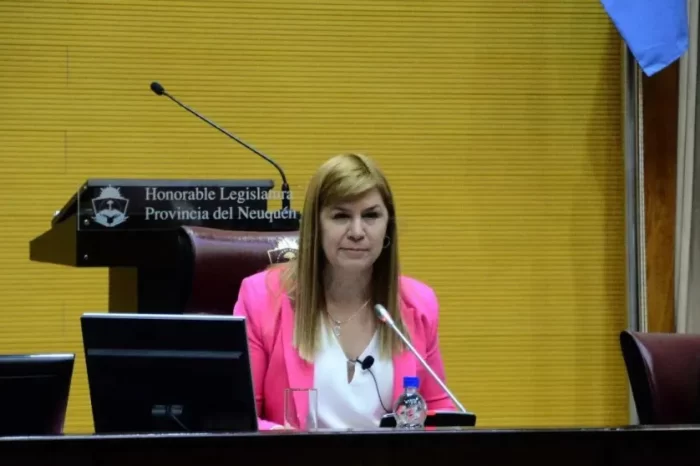 Debate político en Neuquén