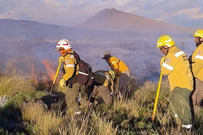 Hubo 35 focos simultáneos: Brigadistas sumarán apoyo aéreo para combatir focos activos
