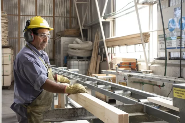 Corfone cumple 50 años forestando los bosques neuquinos