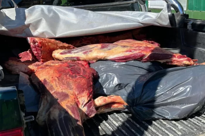 Controles del CIPPA: Incautan un cargamento de carne en un control sobre la ruta 40, en Junín de los Andes