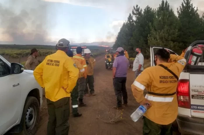 Incendios forestales: Brigadas controlaron nueve focos de incendio, pero otros siguen activos