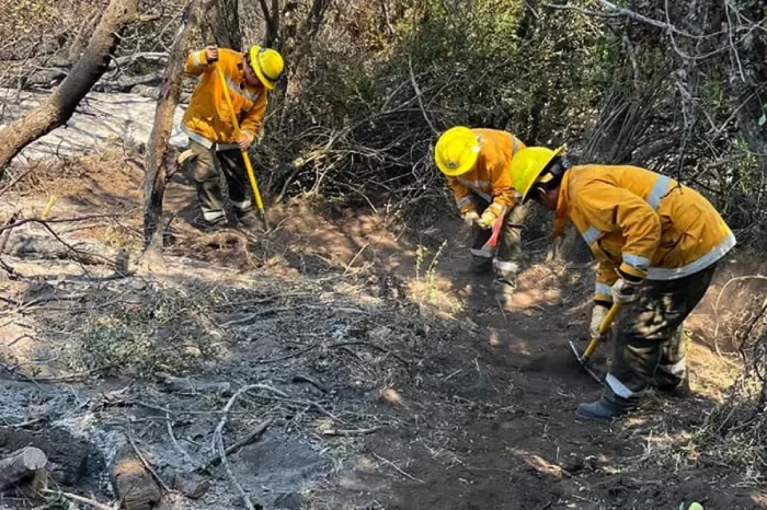 Incendio en Valle Magdalena: Jóvenes de la zona afectada colaboran en la lucha contra el fuego