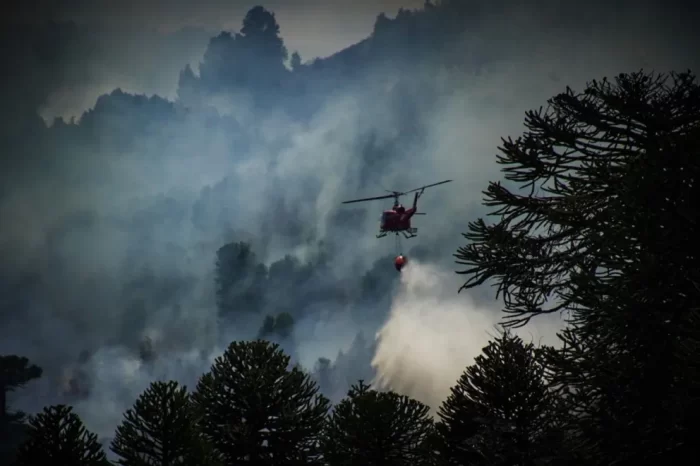 Incendio en Valle Magdalena: Despliegue sin precedentes en el combate contra el fuego en la provincia