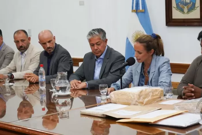 Conectividad vial: Siete ofertas para pavimentar la ruta que une Villa Pehuenia con Moquehue