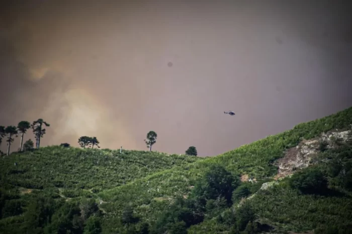 Valle Magdalena: Más de 100 brigadistas trabajan en el incendio