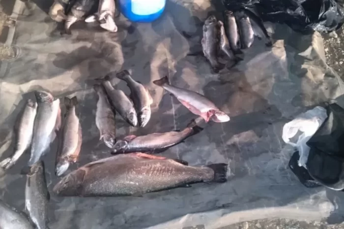 Decomisaron truchas y apagaron más de 60 fogones en zonas no permitidas