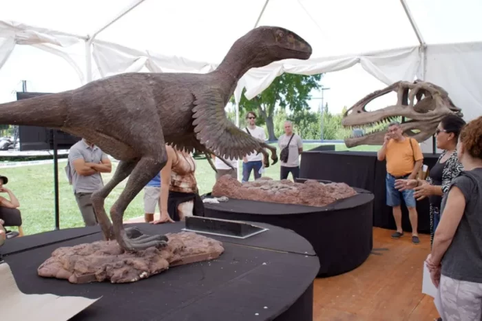 Fiesta de la Confluencia: Invitan a vivir un viaje inolvidable a través del tiempo