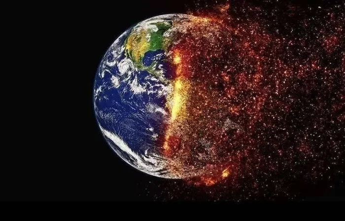 Un grupo de científicos pronostica una nueva extinción masiva en la Tierra: para cuándo se espera