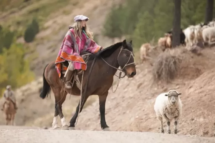 Mes de las mujeres: Promueven encuentros para visibilizar a la mujer en turismo y ruralidad
