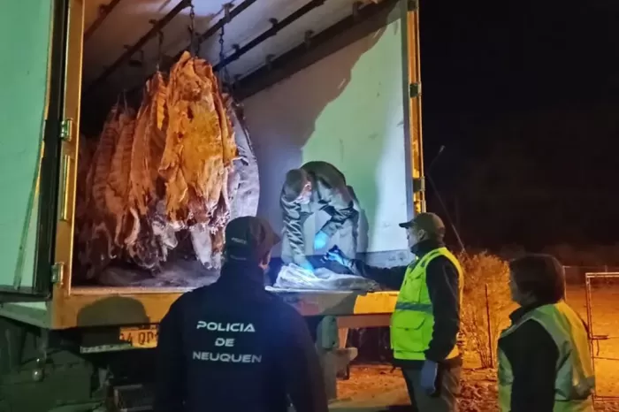 Decomisaron toneladas de carne no apta para consumo
